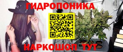 ALPHA PVP Кунгур