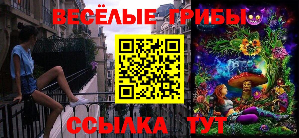 Псилоцибиновые грибы Cubensis  Вход с VPN  Псилоцибиновые грибы Psilocybine cubensis  Кимры 