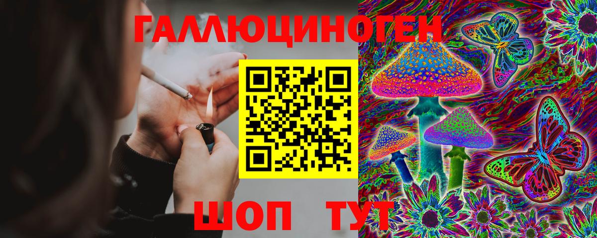 Галлюциногенные грибы Psilocybine cubensis Кимры